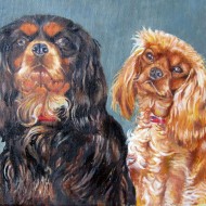 Two little dogs painting
