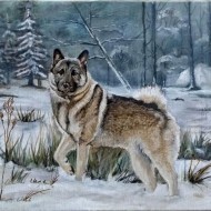 Finn in the snow painting